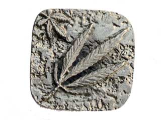 Vintage Marijuana leaf buckle in silver tone
