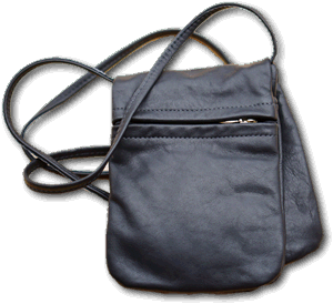 Small Black Saddlebag Shoulder Bag